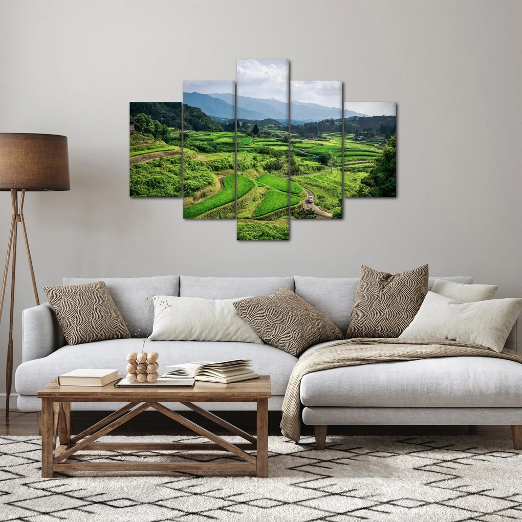 Tablou cu câmp de orez (150x105 cm)