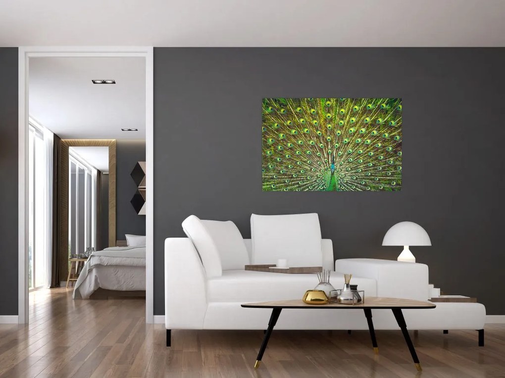 Tablou - Peacock (90x60 cm)