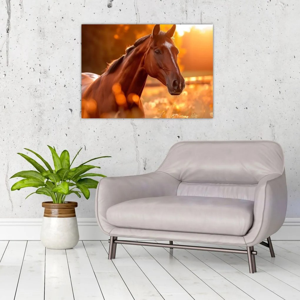 Tablou - Cal în apus de soare (70x50 cm)