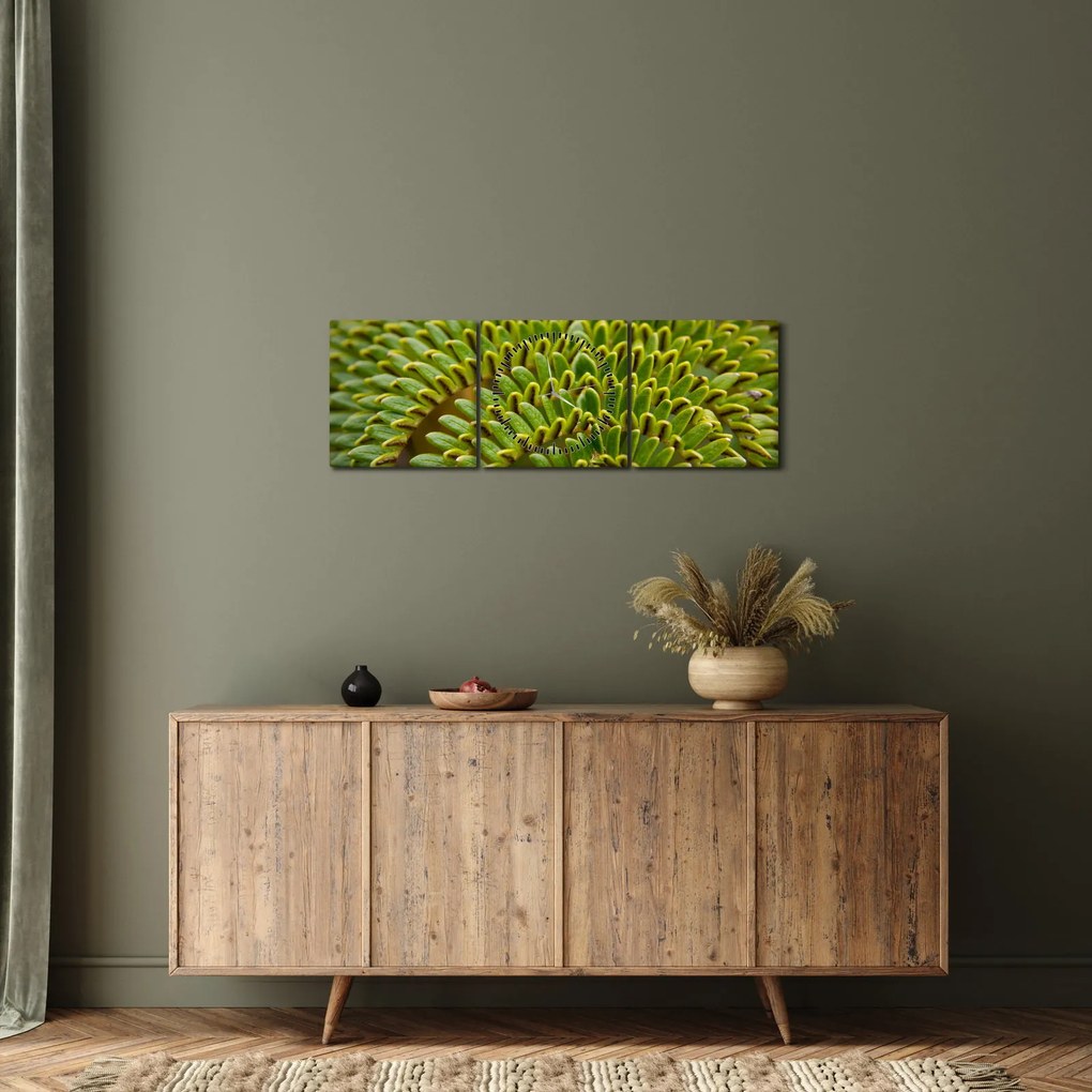 Tablou - Fern (cu ceas) (90x30 cm)