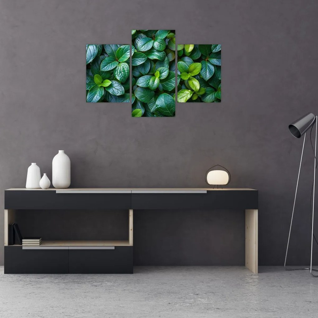 Tablou - Plante verzi (90x60 cm)