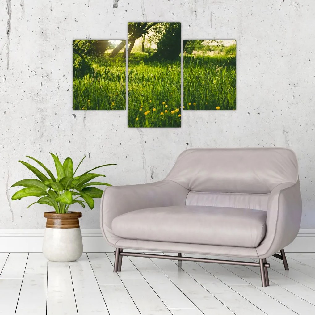 Tablou cu natura - lunca (90x60 cm)