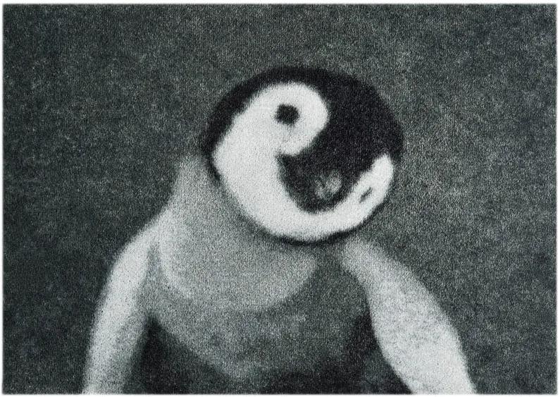 Covor ușă Hanse Home StateMat Penguin, 50 x 75 cm, gri