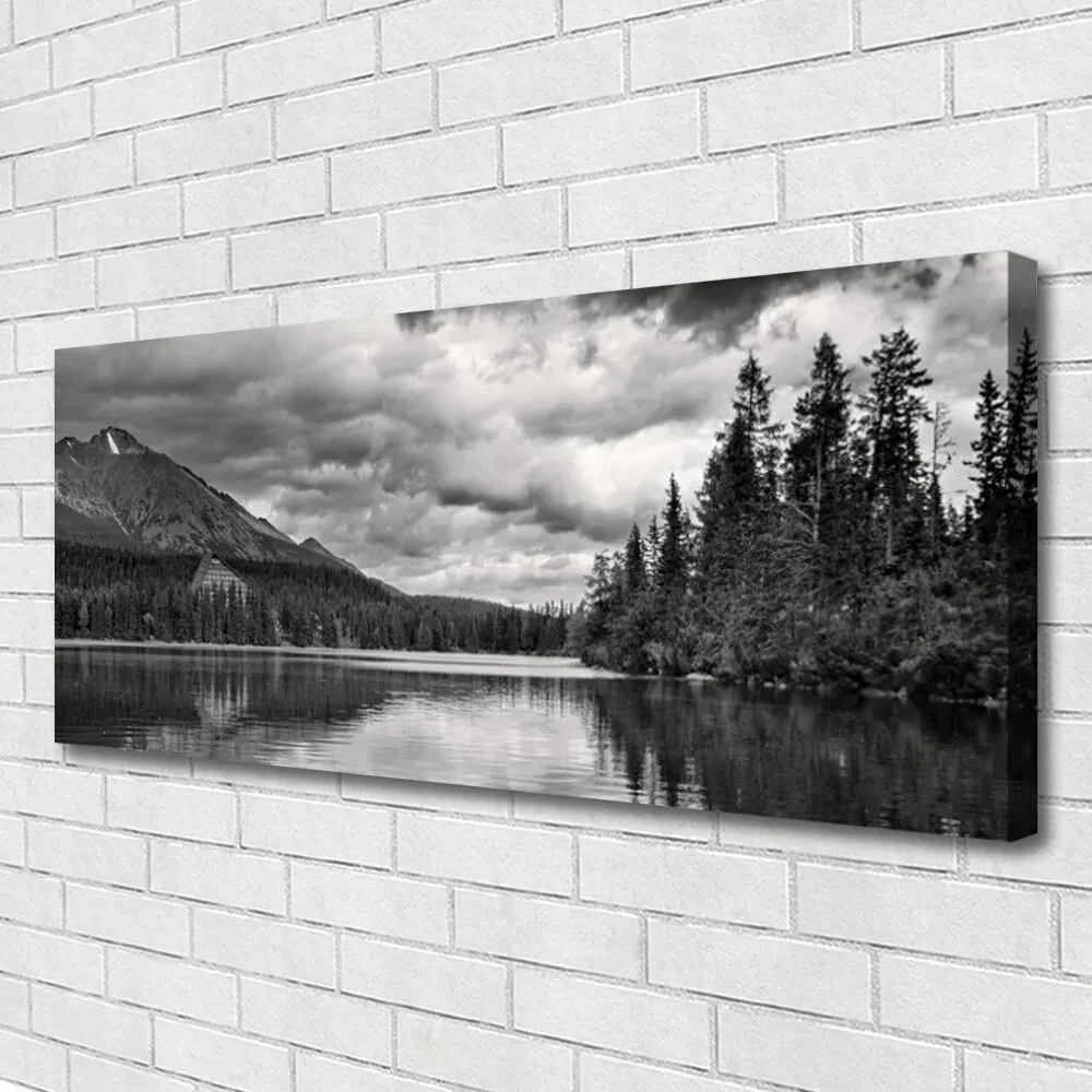 Tablou pe panza canvas Mountain Forest Lake Nature Gray
