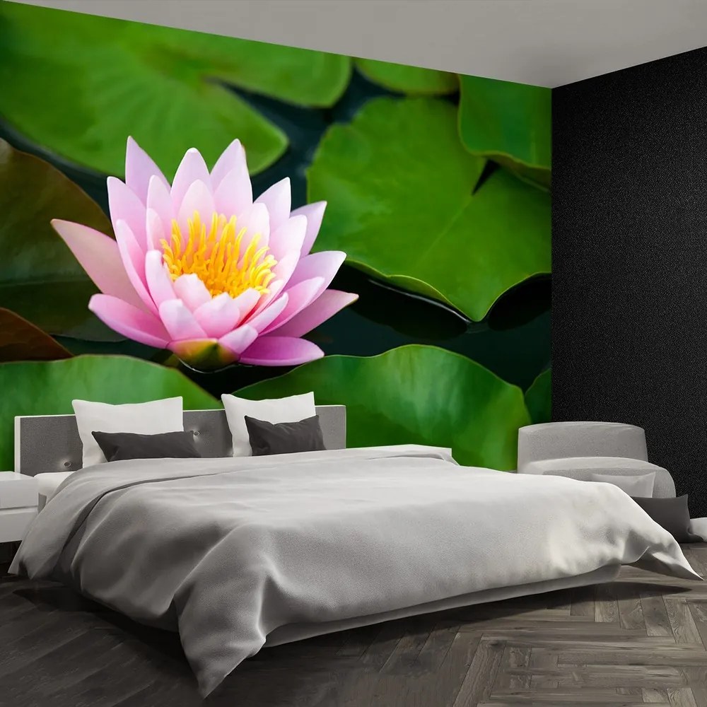 Fototapet Floare de lotus