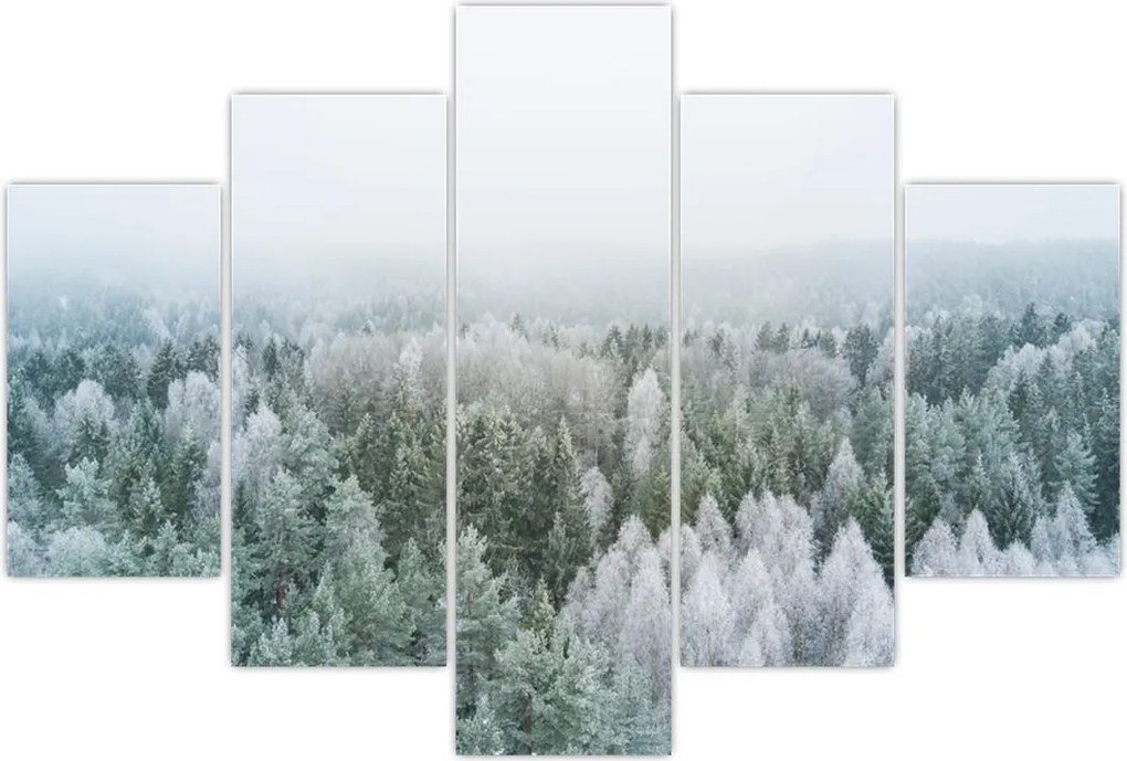 Tablou - Crestele munțillor înzăpezite (150x105 cm)