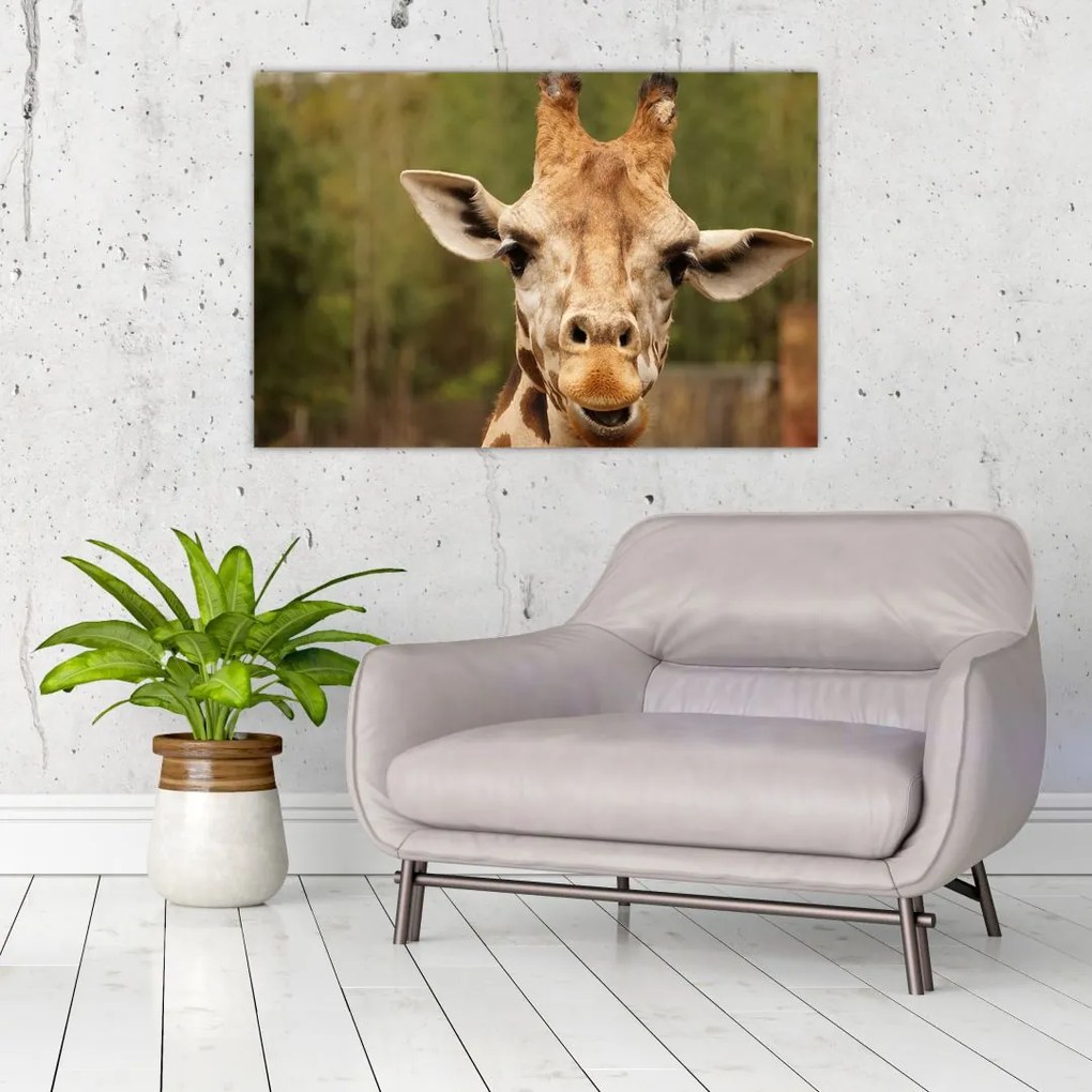 Tablou girafe (90x60 cm)