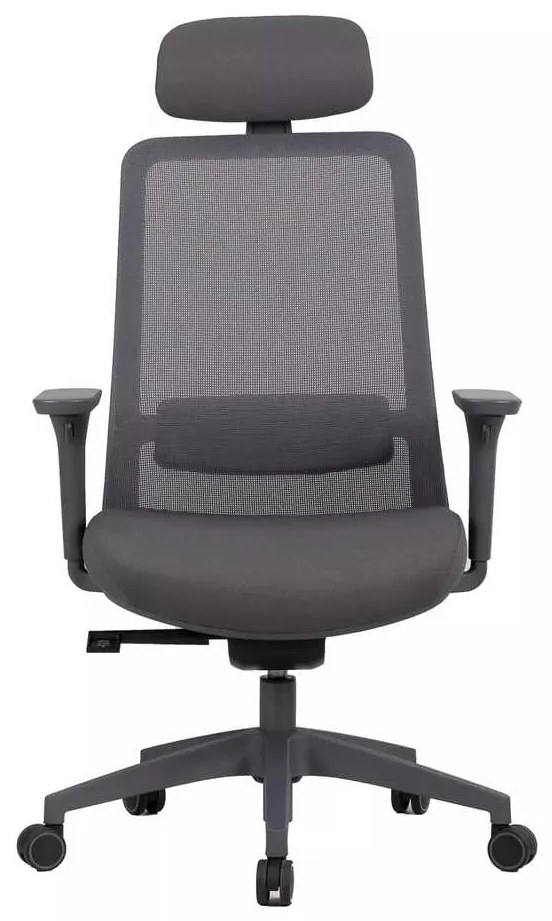Scaun de birou Cantaron Plus, gri