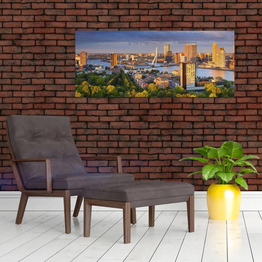 Tablou - Panorama Rotterdamului, Țările de Jos (120x50 cm)