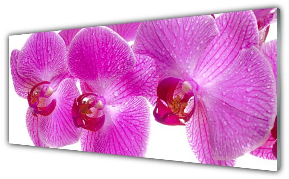 Tablou pe sticla Flori roz Floral