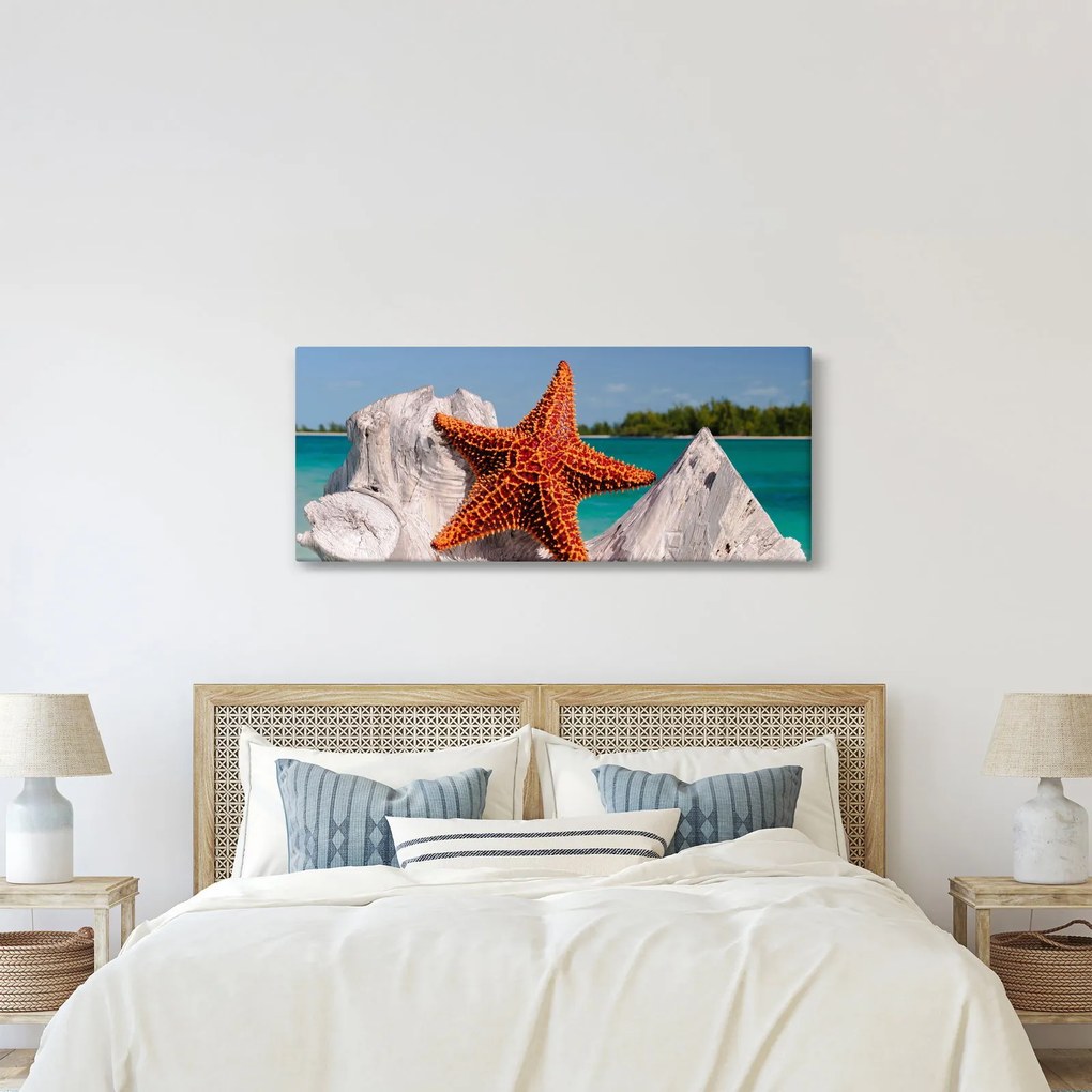 Tablou cu stea de mare (120x50 cm)