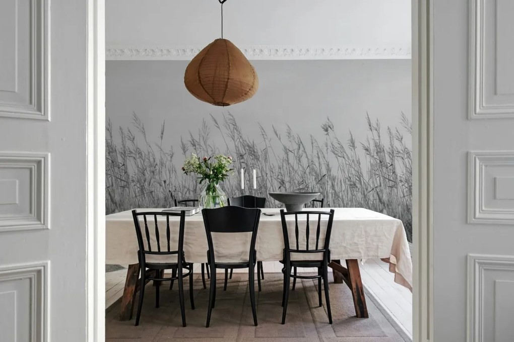 Fototapet, Reed Meadow, Gray, Rebel Walls