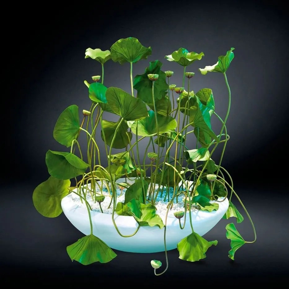 Aranjament floral disponibil cu baza in diverse culori, ROUND BOWL LOTUS 150cm 1141511.95 150cm