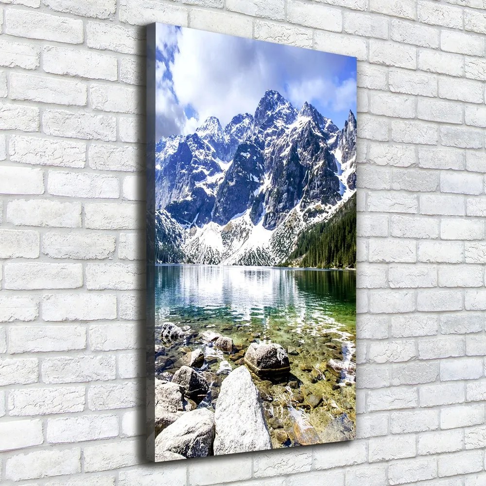 Tablou canvas Marine ochi Tatry