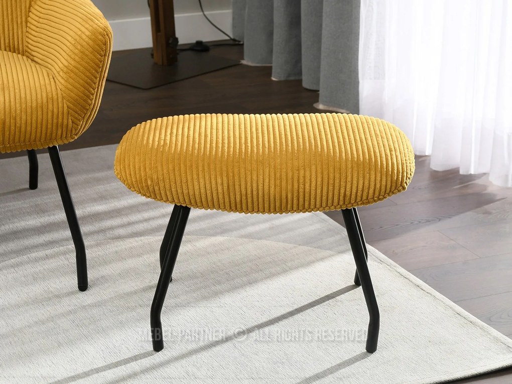 Fotoliu Condor (med + negru). 1109988