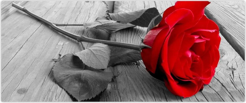 Tablou cu trandafiri roșii (120x50 cm)