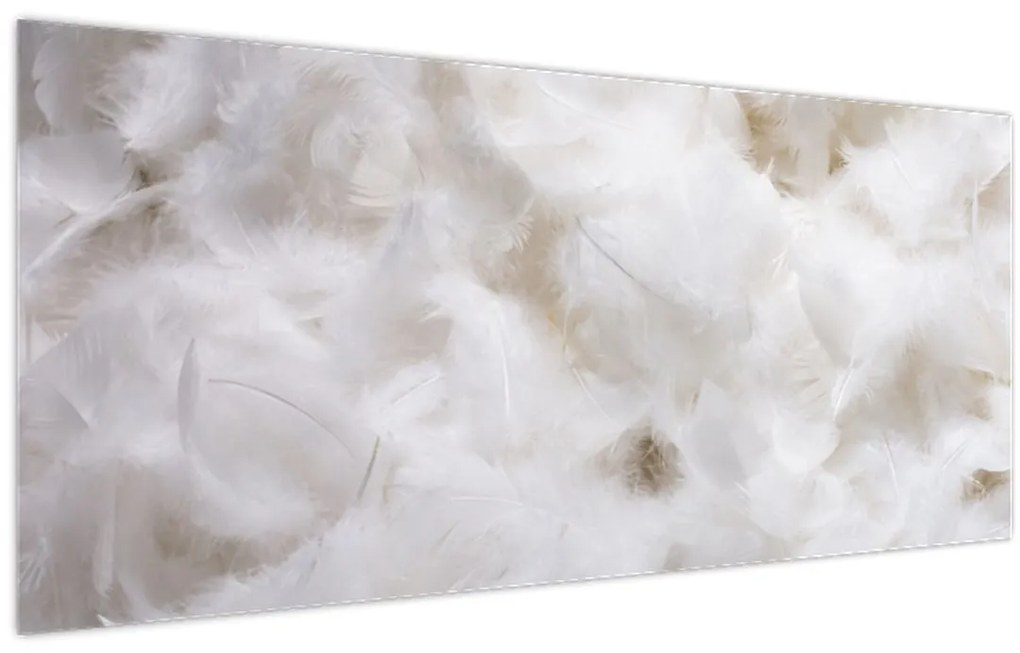 Tablou - Pene albe (120x50 cm)