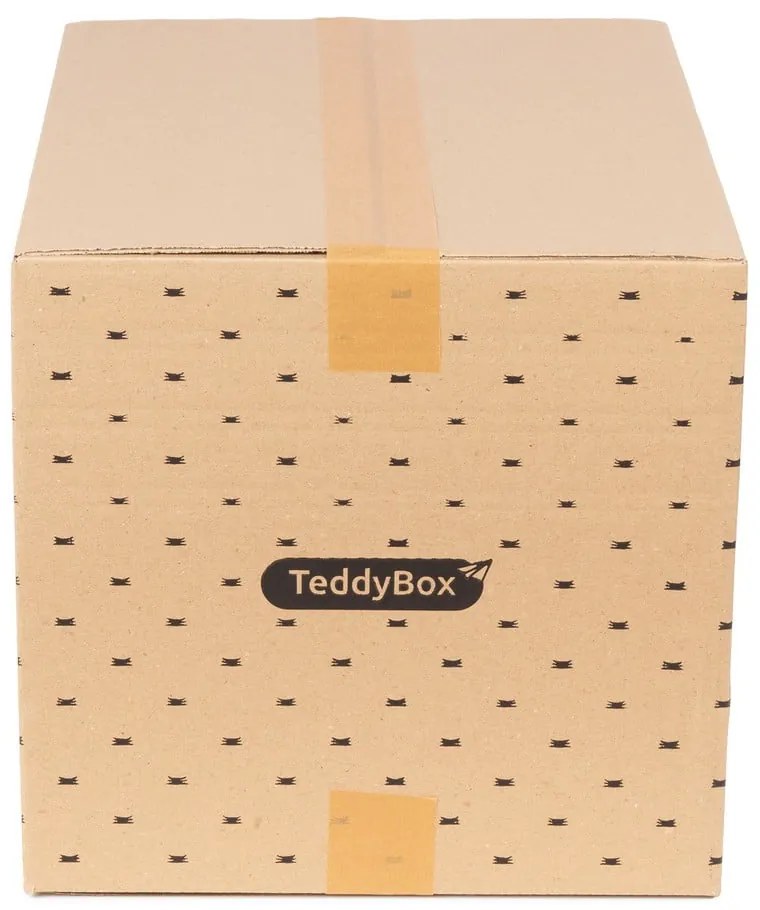 Set de 2 cutii de depozitare bej Compactor Teddy, 42 x 30 cm