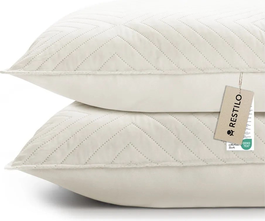 Fețe de pernă 2 buc. din microfibră 45x45 cm Softa – Restilo