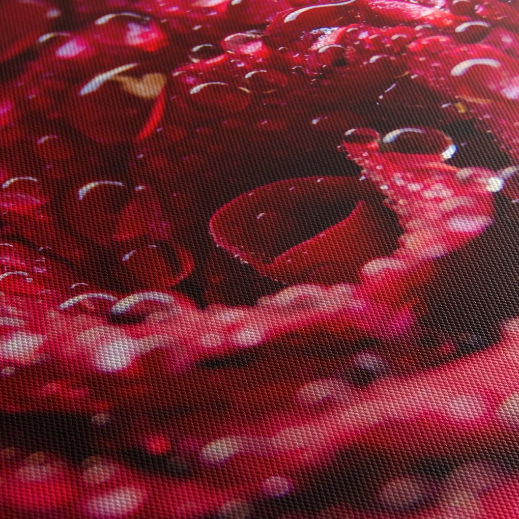 Tablou cu floarea trandafirului roșu (90x60 cm)