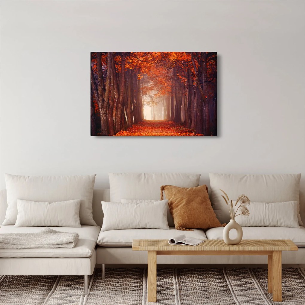 Tablou - Pădurea de toamnă (90x60 cm)