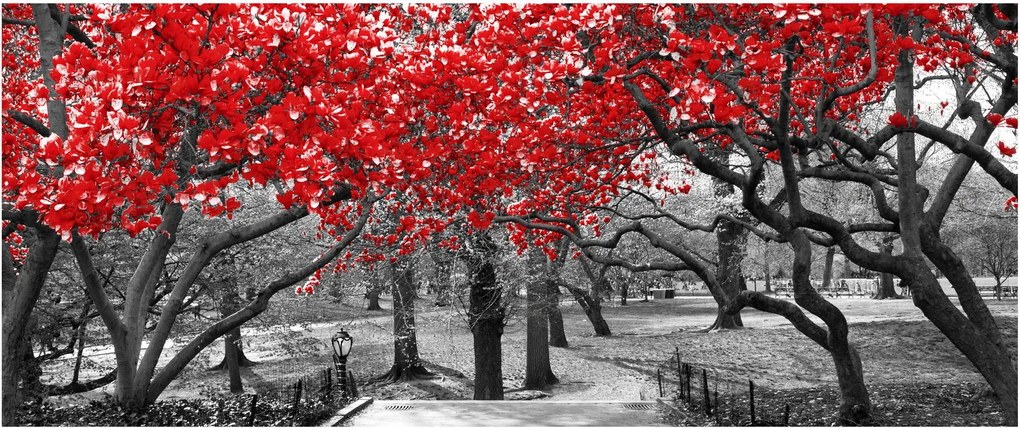 Tablou - Copaci roșii, Central Park, New York (120x50 cm)