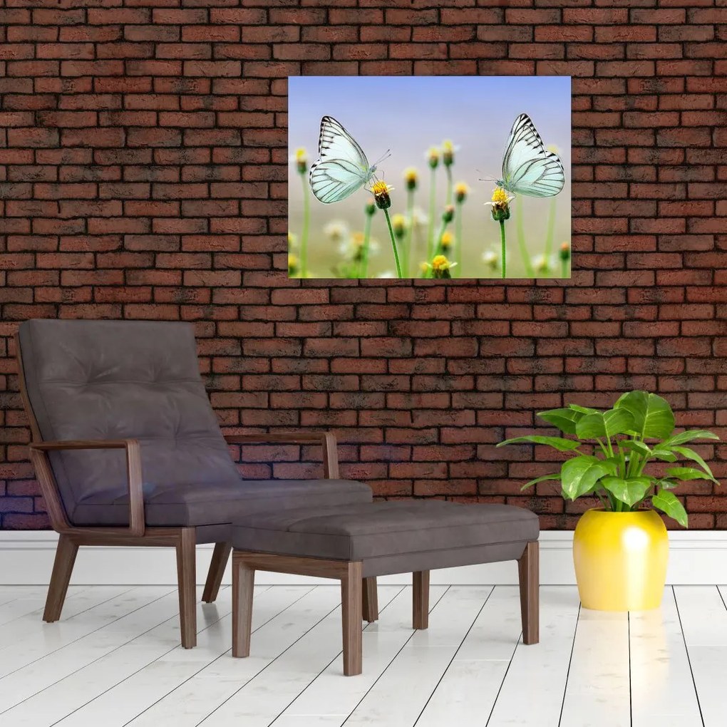 Tablou cu fluture pe floare (70x50 cm)
