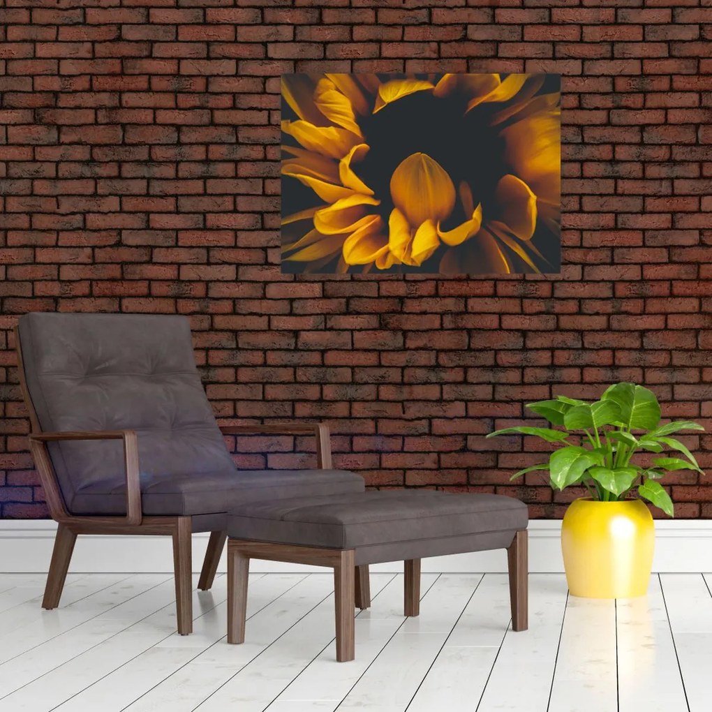 Tablou pe sticlă - Floarea-soarelui în fundal negru (70x50 cm)