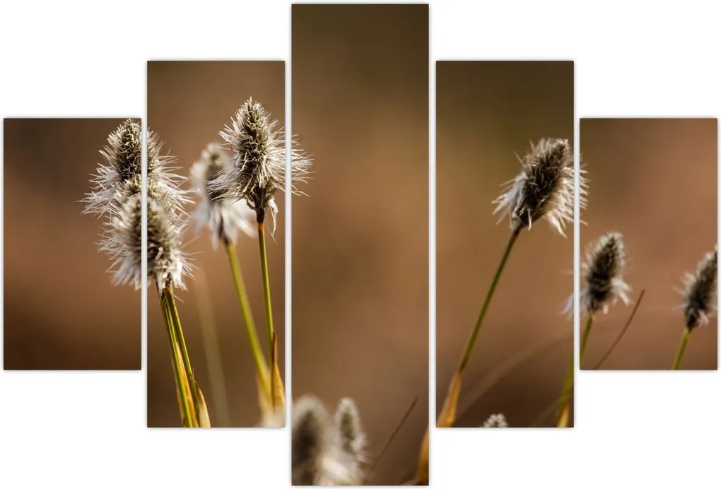 Tablou - Iarbă (150x105 cm)