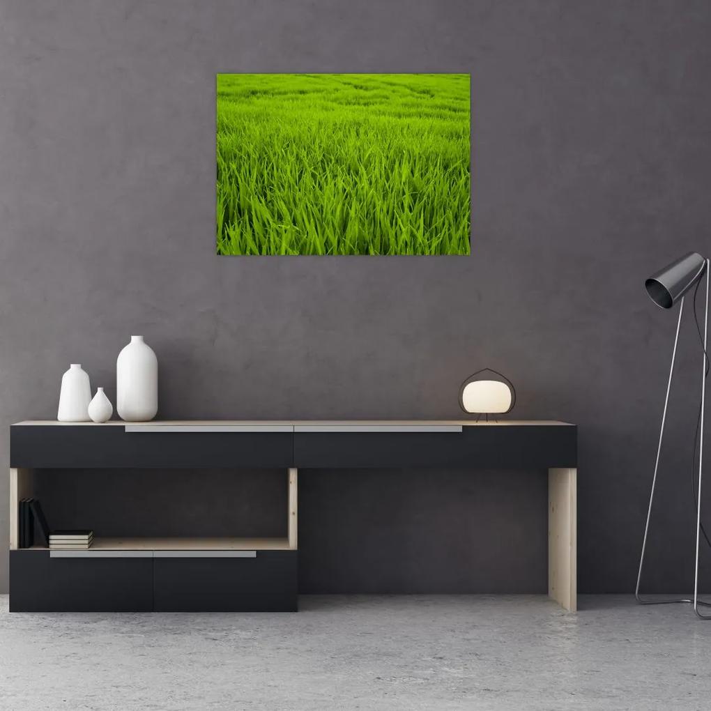 Tablou cu iaraba (70x50 cm), în 40 de alte dimensiuni noi