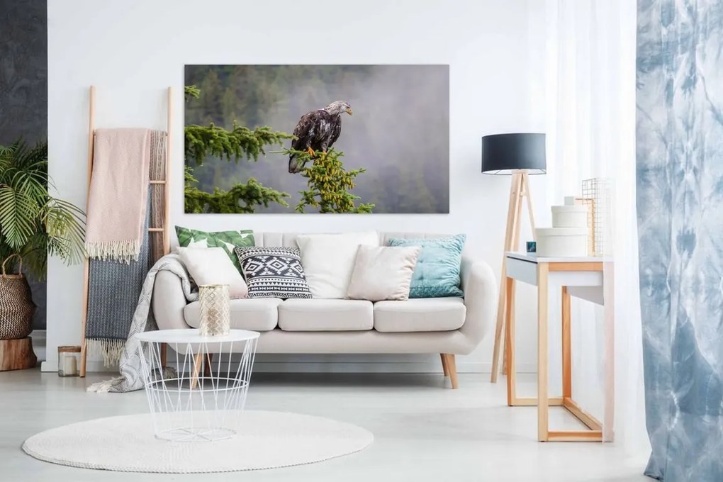 Tablou canvas vultur - 80x50cm