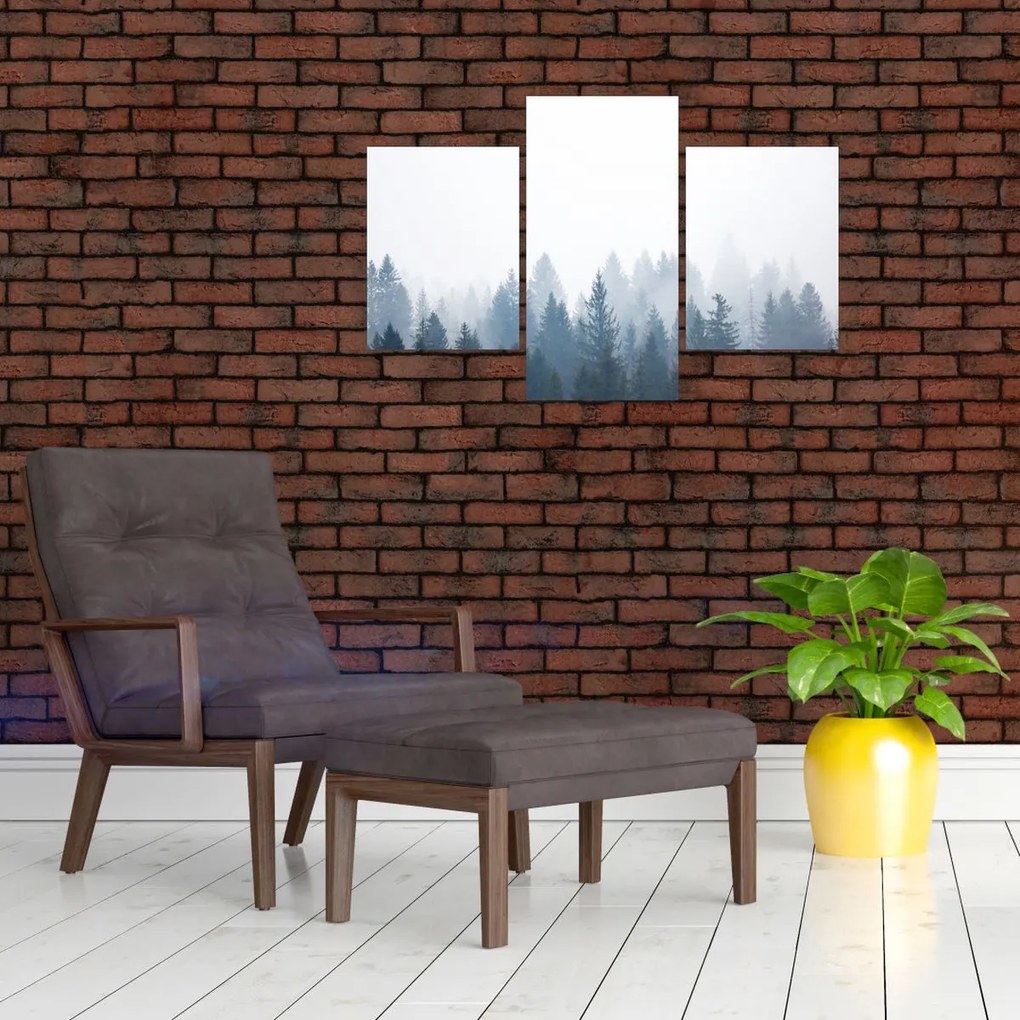 Tablou - Pădure cețoasă (90x60 cm)