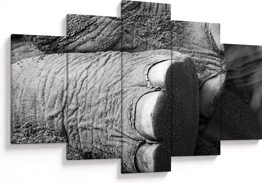 Tablou - Picior de elefant (150x105 cm)
