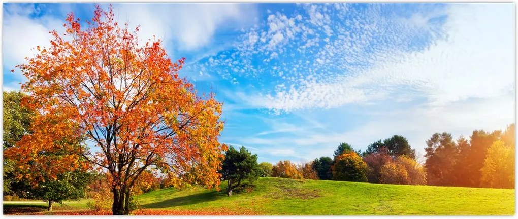 Tablou - Peisaj de toamnă (120x50 cm)