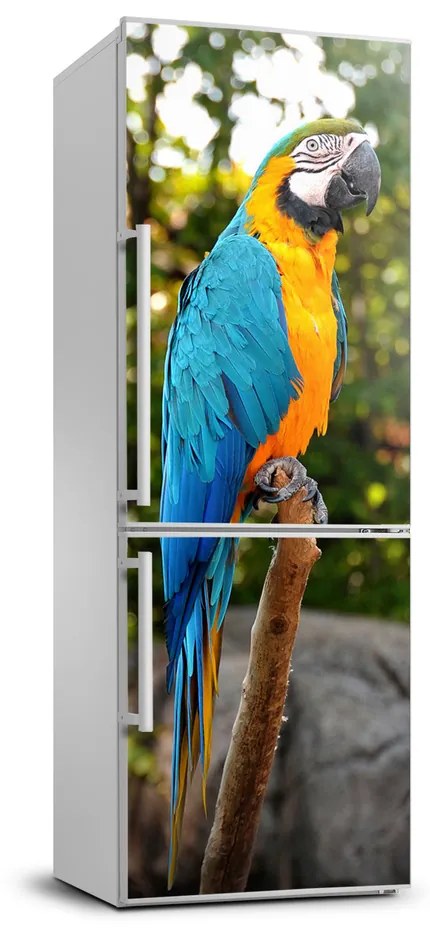 Autocolant frigider acasă Ara papagal