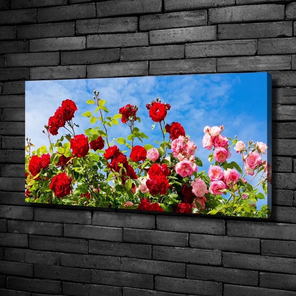 Tablou canvas Trandafiri sălbatici