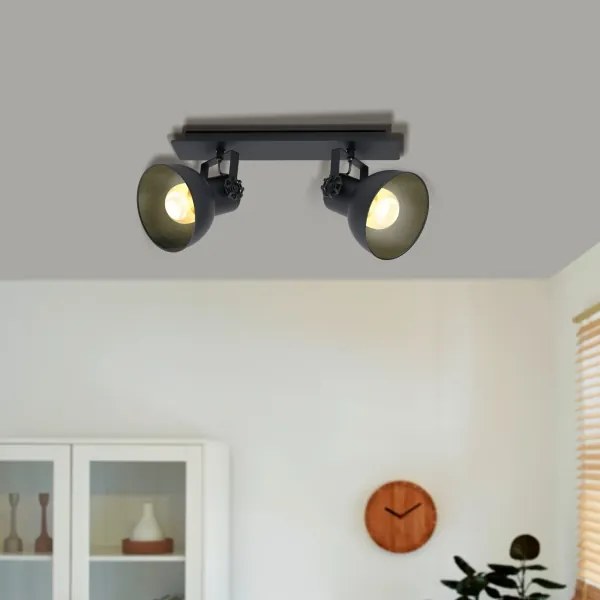 Eglo 43432 - Lampă spot BARNSTAPLE 2 2xE27/40W/230V