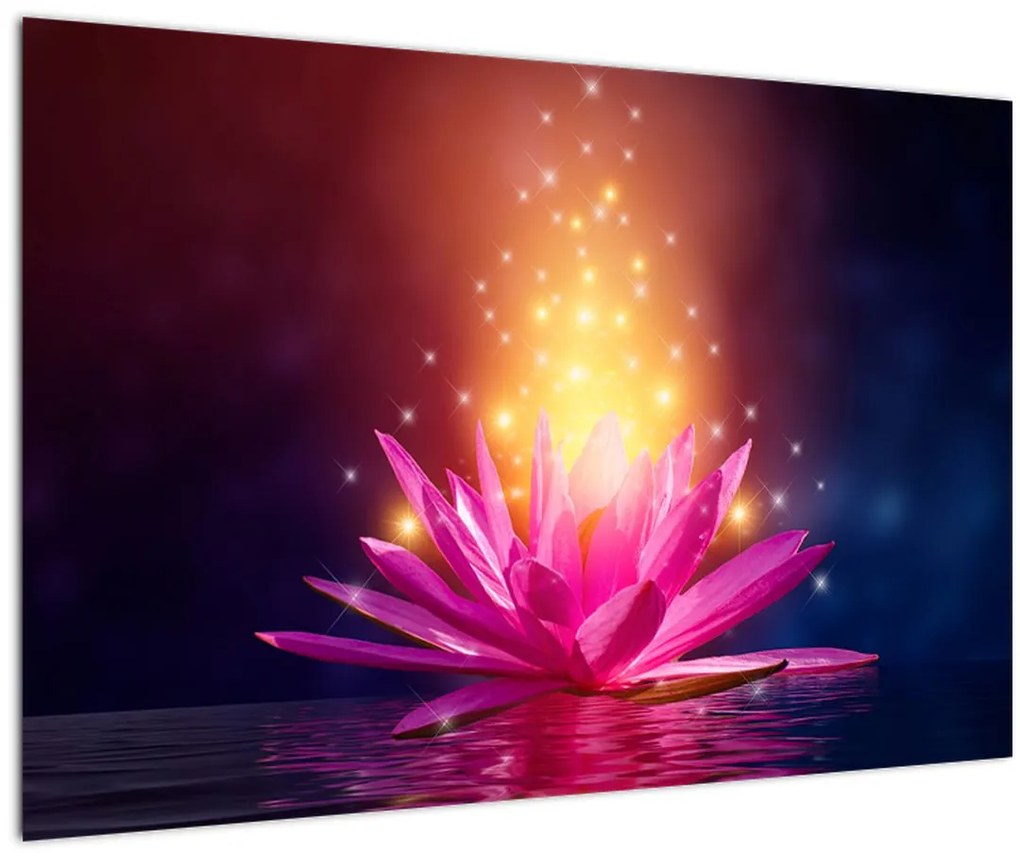 Tablou cu lotus pe apă (90x60 cm)