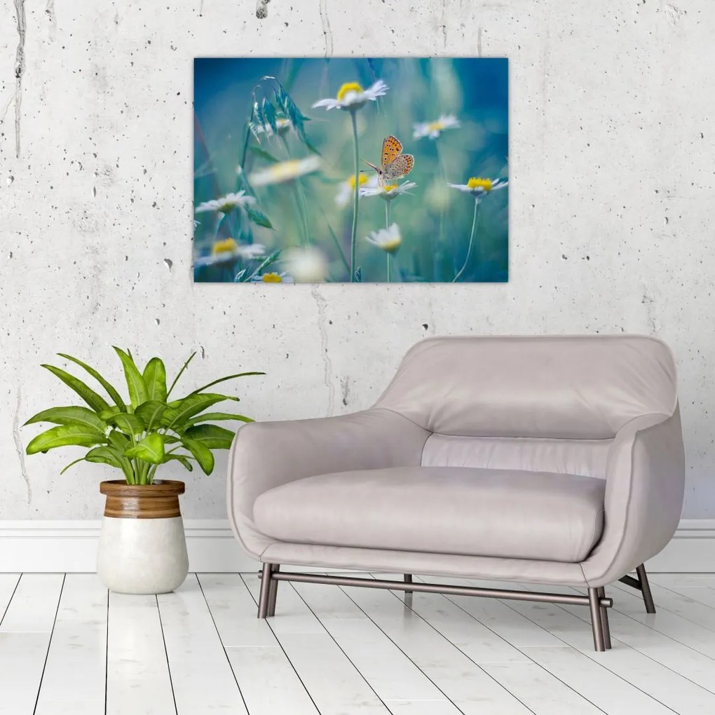 Tablou pe sticlă - Fluture pe margaretă (70x50 cm)