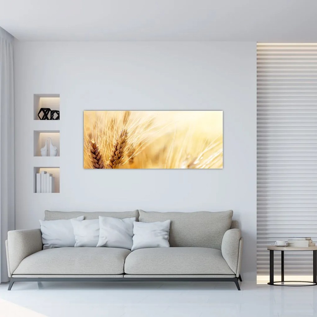 Tablou- detaliu cu (120x50 cm)