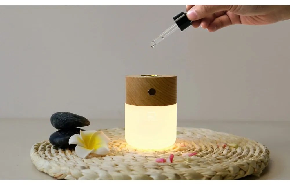 Difuzor de parfum electric Smart – Gingko