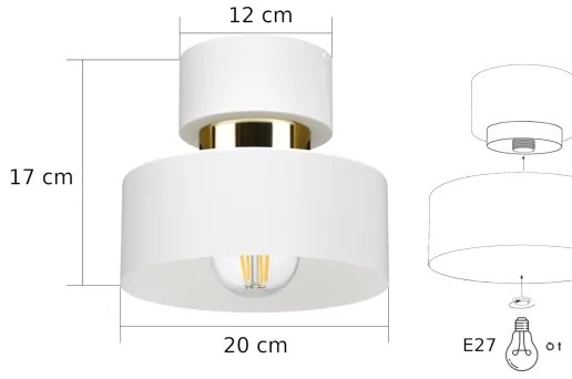 Lampă de tavan IGNIA 1xE27/60W/230V albă