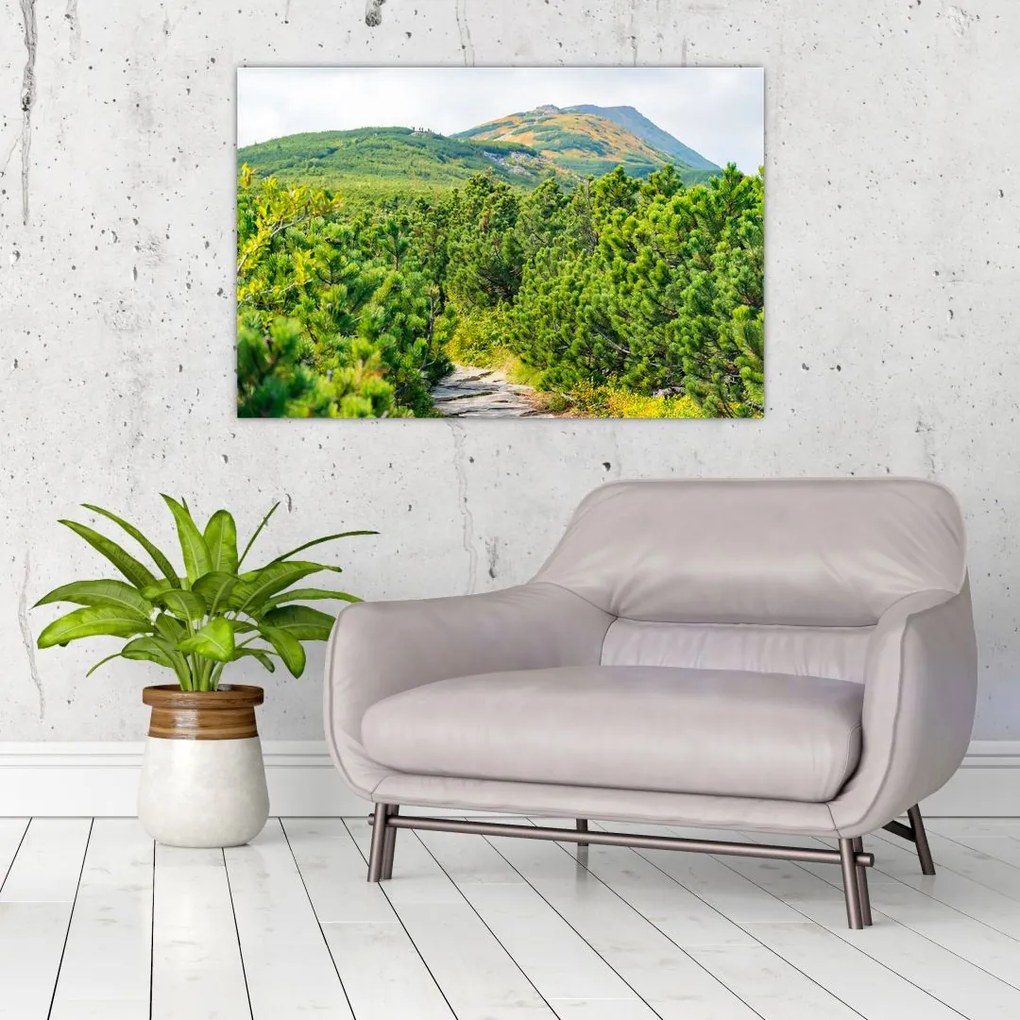 Tablou - Babi Hora, Polonia (90x60 cm)