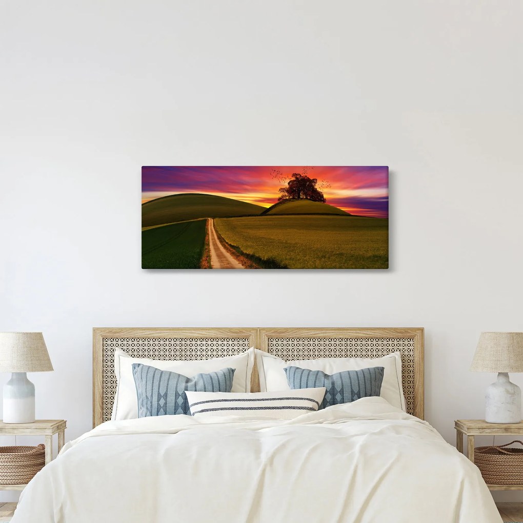 Tablou cu câmp și cerul colorat (120x50 cm)