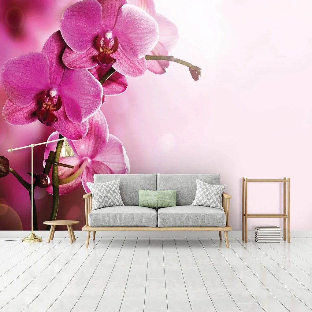 Fototapet - Orhidee (152,5x104 cm)