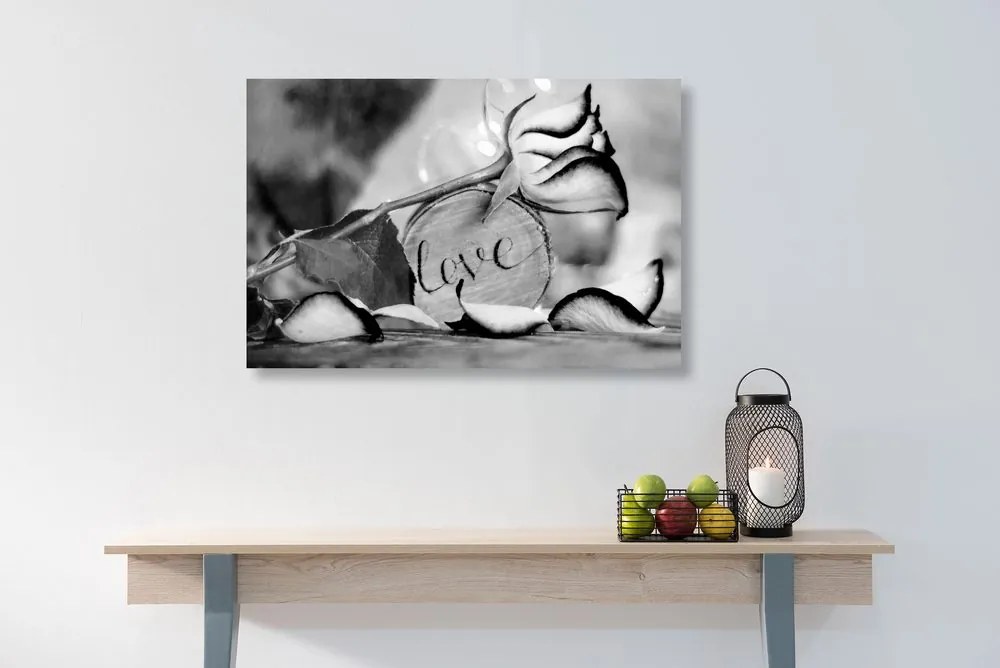 Tablou mărturisire romantică în design alb-negru Love