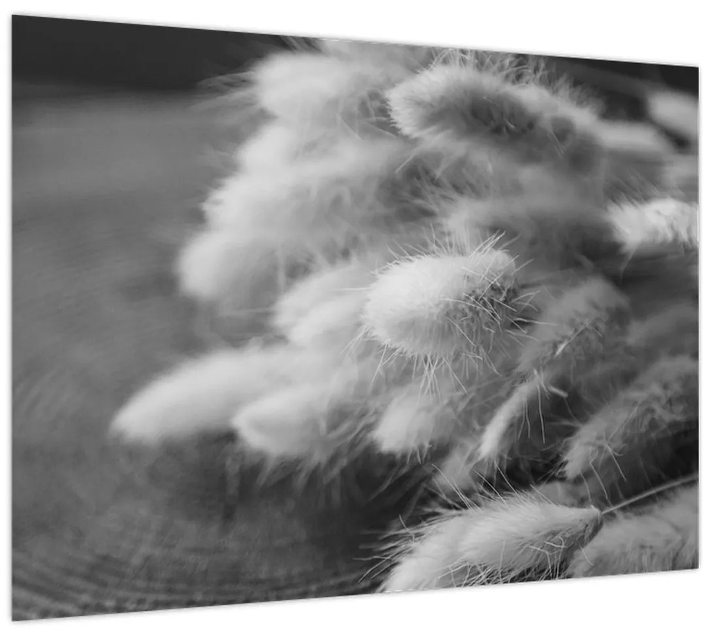 Tablou pe sticlă - iarbă de coadă de iepure pe masă (70x50 cm)