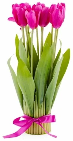 Y
