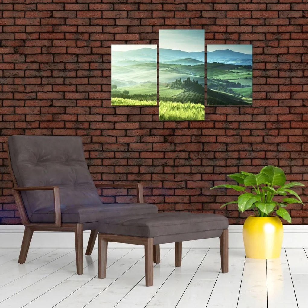 Tablou - Toscana, Italia (90x60 cm)