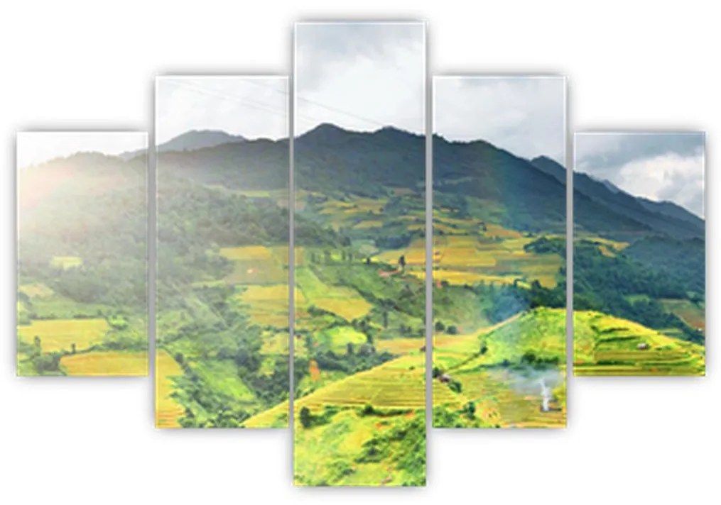 Tablou plantație (150x105 cm)